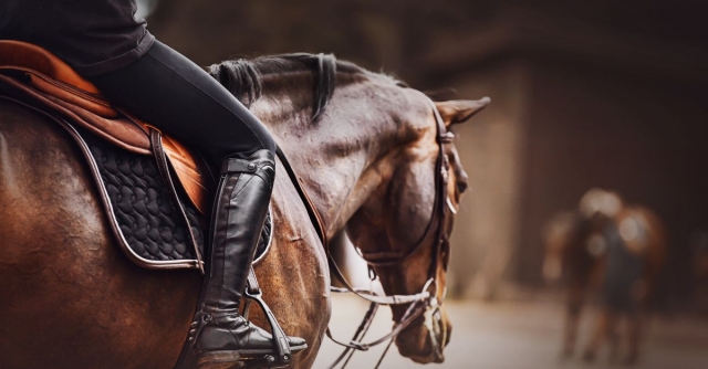 How To Select the Best Saddle for Roping Success